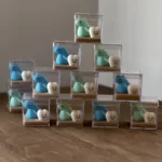 گیفت دندونی دایناسوری