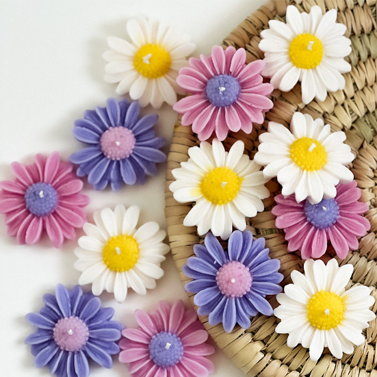 گیفت بابونه تک