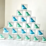 گیفت دایناسور