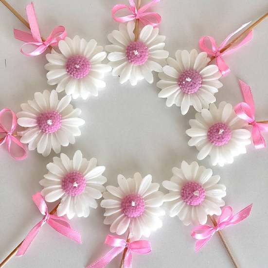 گیفت بابونه