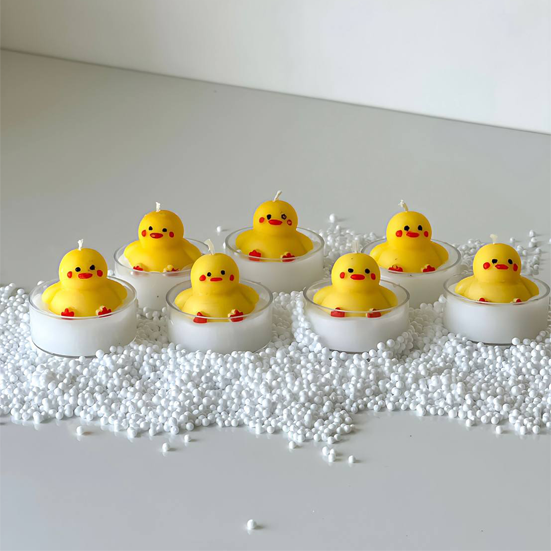 گیفت جوجه وارمری