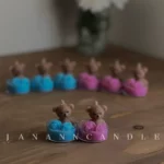 گیفت تعیین جنسیت تدی گل دار