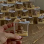 گیفت خرسی پلکسی