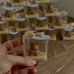 گیفت خرسی پلکسی