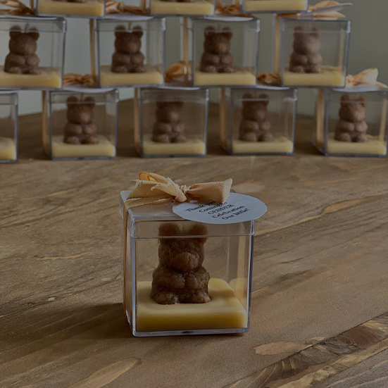 گیفت خرسی پلکسی 1