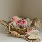 گیفت صدف هفت رنگ