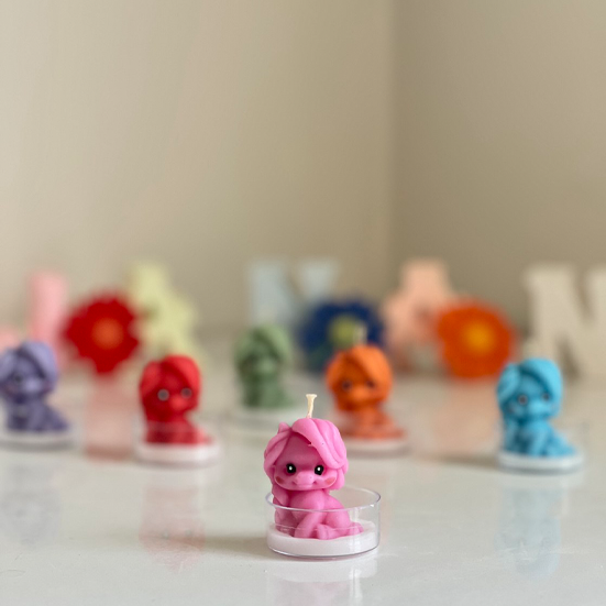 گیفت اسب وارمری